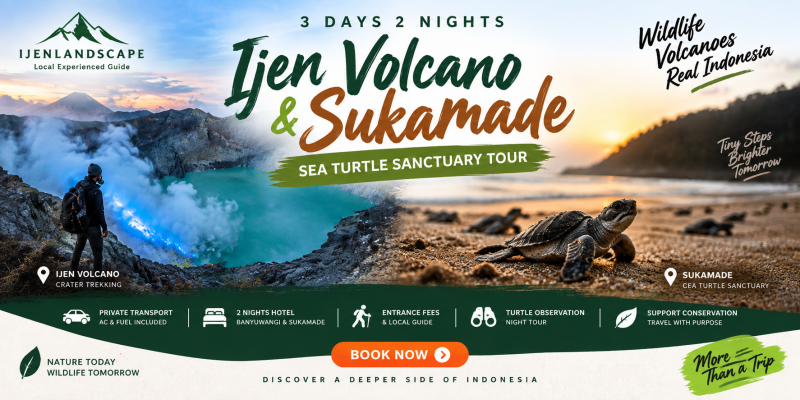 3D2N Ijen and Sea Turtle Conservation Tour 3d2n-ijen-and-sea-turtle-conservation-tour 3d2n-ijen-and-sea-turtle-conservation-tour 3d2n-ijen-and-sea-turtle-conservation-tour Ijen Landscape